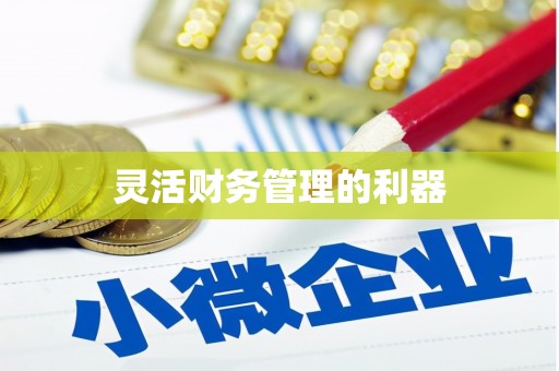 三地门灵活财务管理的利器