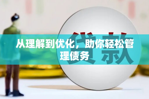 儋州从理解到优化，助你轻松管理债务