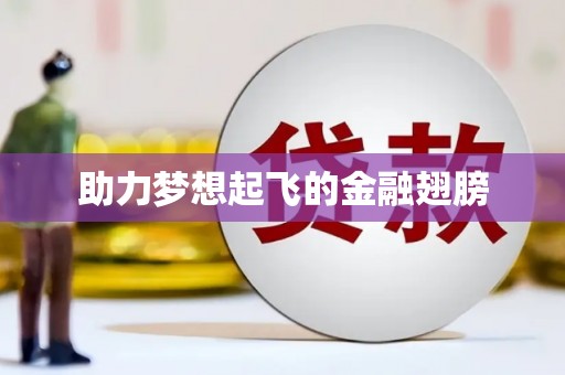 凉城助力梦想起飞的金融翅膀