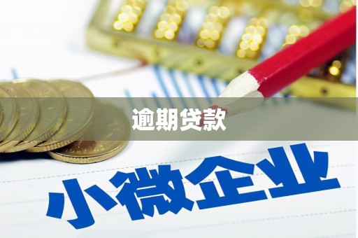 梅河口逾期贷款