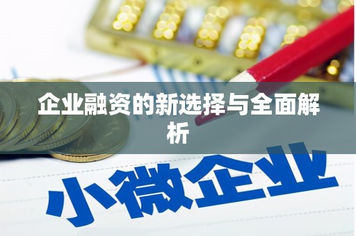 竹东企业融资的新选择与全面解析