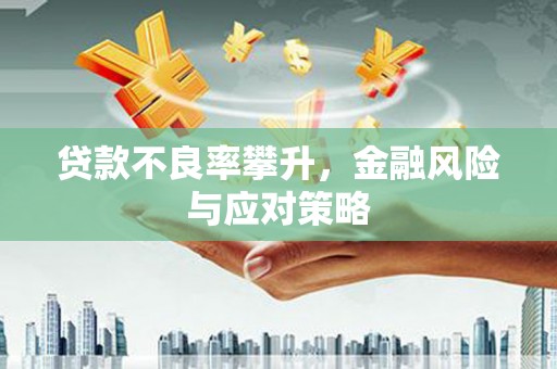 汝阳贷款不良率攀升，金融风险与应对策略