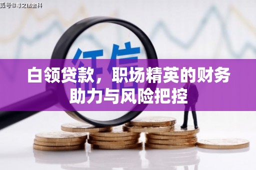 响水白领贷款,职场精英的财务助力与风险把控 响水白领贷款,职场精英的财务助力与风险把控